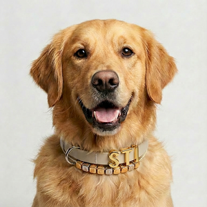 Kalung Anjing Aksesoris Huruf Logam Emas Perak Anti Air, Kalung Hewan Peliharaan Huruf Geser Berkilau untuk Alfabet - Product Image 2