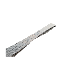 Provina – Prix usine – Sangle en polyester haute résistance de 4 tonnes – Couleur personnalisable – Facteur de sécurité 8:1 – Longueur personnalisable pour