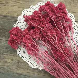 Flores artificiales preservadas, decoración para el hogar, boda, <span class=keywords><strong>Edelweiss</strong></span>, crisantemo - Product Image 3