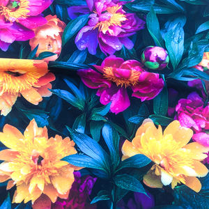 Maillot de bain d'usine, imprimé tropical, nylon, designs personnalisés, tissu imprimé extensible 4 directions <span class=keywords><strong>avec</strong></span> des feuilles et des fleurs - Product Image 1