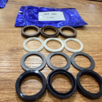 TRS- KIT181 W2141 Kit de réparation de joints de piston haute pression 24 mm, kit de joints d'étanchéité pour INTER PUMP