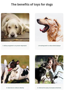 Juguete Masticable para Perros en Forma de X, Duradero, Varios Sabores Disponibles, Venta al Por Mayor de Fábrica - Product Image 3