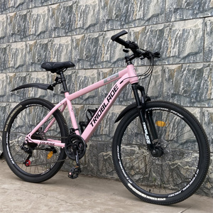 <b>Cheap</b> Price Hot Sale Men Mountain Bike Steel Body Disc Outdoor Sports Cycling for Adult Daily Commute - Product Image 6