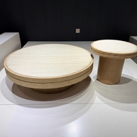 Ensemble de tables basses gigognes aux tons doux, doubles, rondes, empilables, en bois composite, mobilier moderne pour salon, appartement, décoration intérieure