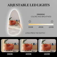 Miroir de salle de bain asymétrique 24 "x 48" LED à intensité variable et lumière blanche chaude Miroir décoratif étanche sans cuivre pour anniversaire