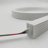 Bande lumineuse néon 3020 à LED RVB étanche 30*20mm 12V 5V WS2812B
