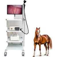Nouvel endoscope vétérinaire portable USB, gastroscopie équine, caméra d'endoscopie vétérinaire pour hôpital vétérinaire