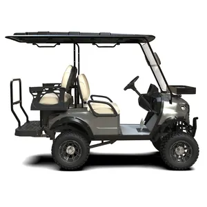 Tùy chỉnh Câu lạc bộ xe nâng 4 hành khách xì gà chủ đường phố hợp pháp điện nâng Golf giỏ hàng với hàng hóa Giường hộp