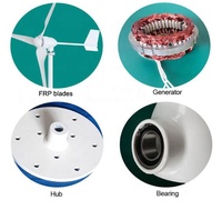 Certification CE Éolienne horizontale 1000W Générateur 1KW Moulin à vent avec pales en fibre de nylon pour usage domestique