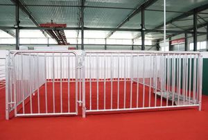 Nuevo Corral para Cerdos de Engorde Juxin Verde/<span class=keywords><strong>Naranja</strong></span>, Garantía de 2 Años, Tamaños Totalmente Personalizables, Material PP Aislante y Resistente al Viento - Product Image 4