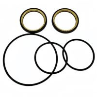 Kits souples de soupape à bouchon 2 ''x 2'' à prix compétitif avec anneaux de secours en laiton