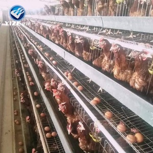 <strong>Chicken</strong> Layer Cage Battery Brooder Frame Galvanized Steel Door Feeder Hen <strong>Chicken</strong> <strong>Coop</strong> <strong>Large</strong> - Product Image 1