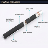 Stylo pointeur laser portable 5mW pour l'enseignement, les réunions, les présentations, l'inspection anti-espionnage dans les hôtels