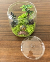 Mini Terrario de vidrio con contenedor de naturaleza DIY con tapa de vidrio para Decoración de mesa de paisaje que sirve como urna o jarrón elegante