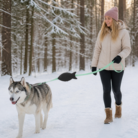 Laisse Rétractable OEM pour Chien en Nylon PP ABS, Contrôle Automatique Fluide, Réfléchissante Nocturne, 150 kg, pour Dressage Canin et Promenades en Extérieur
