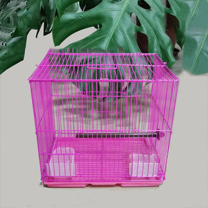 ขายส่งนกพิราบขนาดใหญ่สำหรับเพาะพันธุ์ - Product Image 4