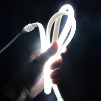 Bande lumineuse LED COB de personnalisation de haute qualité IP65 étanche Ultra luminosité 8 W/M 50000 heures de durée de vie Flexible extérieur