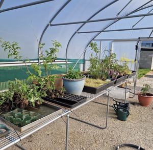 <span class=keywords><strong>Invernaderos</strong></span> Agrícolas Grandes Prefabricados para Uso Doméstico, Solárium de PE, Puerta Opaca, Toldo con Manivela, Cama Elevada, <span class=keywords><strong>Segunda</strong></span> <span class=keywords><strong>Mano</strong></span> - Product Image 2