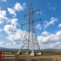 Structure en acier pour tour de ligne de transmission, cadre de support pour réseau électrique, projet de construction d'infrastructure sur mesure