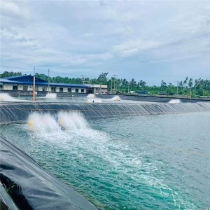 HDPE geomembrane 0.8mm chống thấm hóa chất lót chống thấm cho nông nghiệp ao hồ chứa cá trang trại bãi rác đường hầm đập - Product Image 4