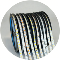 Bande lumineuse LED flexible de type S 2835 SMD, DC12V 24V IP20 120 LED/m 6MM 5m/10m/20m/50m, rouleau de lumières LED pour enseignes lumineuses LED