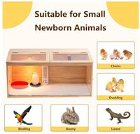 Grande couveuse en bois pour poussins avec ensemble de lampes et thermomètre, pour l'intérieur, adaptée aux poulets, canards, cailles, hamsters et lézards
