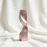 Plaques de trophées métalliques durables et écologiques, gravées par impression UV, silhouette élégante et moderne, pour reconnaissance d'entreprise