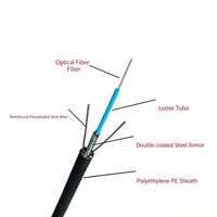 Câble à fibre optique blindé extérieur monomode G652b à 10 conducteurs solides GYXTW OEM&ODM