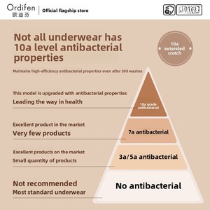ODM Luxe Satijn Naadloze Ondergoed Dames Mulberry Nylon10A Antibacterieel 2025 Nieuw Middelhoge Taille Niet-krimpend Ademend - Product Image 5