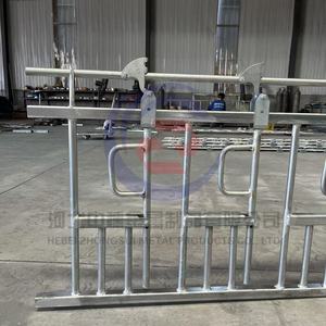 Cerradura de cuello de cabra galvanizada resistente Cerradura de cuello de oveja autoblocante para Cabra - Product Image 2