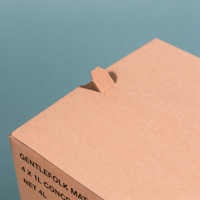 Boîte d'emballage en carton ondulé écologique avec logo personnalisé, pelliculage mat, doublure en éponge, qualité alimentaire, pour thé, matcha, café en poudre, rangement, cadeau