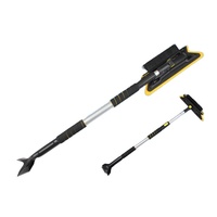 Brosse à neige avec grattoir à glace