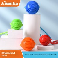 Eisenka – balle solide en caoutchouc thermoplastique pour chien, élastique, résistante aux morsures, jouet de lancer en corde pour l'extérieur, entraînement de récupération MJ119