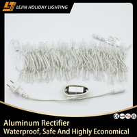 Guirlande lumineuse LED blanche chaude pour extérieur, 100 LED, IP44, pour décorations de Noël, de fêtes et de paysages commerciaux