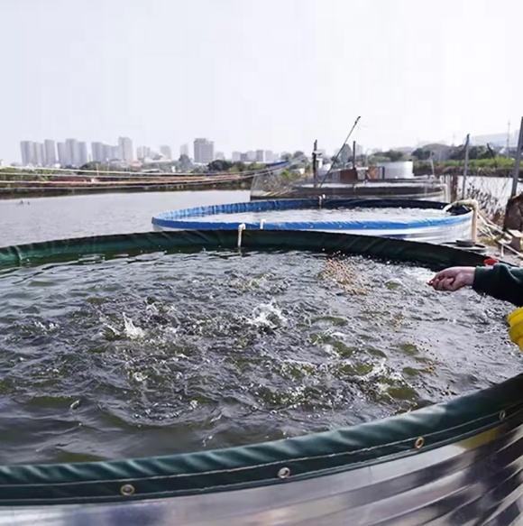 プラ池　養殖池 プラ池 養殖池