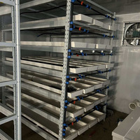 Système d'hydroponie entièrement automatique pour fourrage, système de fourrage pour vaches de 500 kg pour l'orge, le maïs, le blé, l'herbe