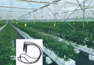 Système d'irrigation goutte à goutte en plastique vert de qualité industrielle, <span class=keywords><strong>Goutteur</strong></span> <span class=keywords><strong>araignée</strong></span>, <span class=keywords><strong>Goutteur</strong></span> flèche 1/4, 4 directions, Outil d'arrosage de jardin - Product Image 5