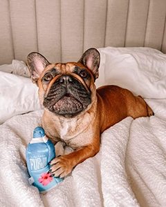 Furji Water Bottle Dog Toy-divertente carino bevande uniche Non alcool parodia peluche con Squeaker - Product Image 5