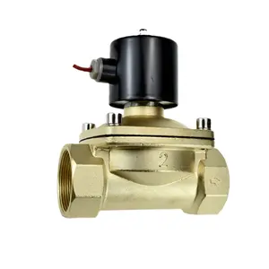 Válvula Solenoide de cobre normalmente cerrada, válvula DN50, AC220V DC24V, 2W500-50