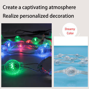 2 LED IP65 Décoration <span class=keywords><strong>de</strong></span> Noël en gros <span class=keywords><strong>12</strong></span> <span class=keywords><strong>volts</strong></span> Lumière LED pixel pour chambre à coucher Jardin Noël Mariage Fête Décoration - Product Image 5