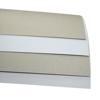 Carton duplex 350 g/m² 635 mm x 915 mm