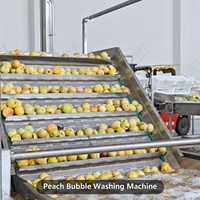 Ligne de traitement des pêches en conserve LWT, stérilisateur alimentaire, retourneur de caisses automatique, palettiseur de boîtes, capacité de 1 à 60 tonnes pour les usines de mise en conserve de fruits