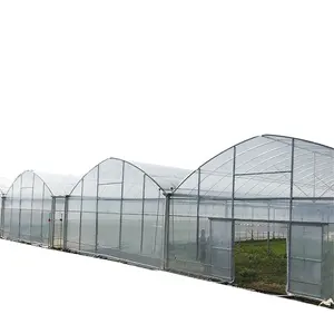 Serres gothiques Serres de culture hydroponique tropicale légumes Tomate Green House Sawtooth Greenhouse fournisseur à vendre