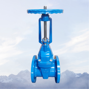 GGG50 डक्टाइल कास्ट आयरन वाटर वाल्व ओएस और y लचीला गेट Z41X-10/16q मैनुअल उच्च गुणवत्ता और कम कीमत के साथ DN50-DN600 - Product Image 4