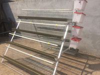 Raboteuse automatique à 4 niveaux pour l'éclosion des bébés, avec batterie, broyeur d'œufs, de poulailler, cages, pour la mise en place de hines