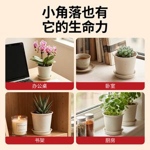 Aridoo Mini <b>Long</b> <b>Pot</b> Ceramic Look Planter Plastic Desktop Flower <b>Pot</b> With Drainage Hole - Product Image 3
