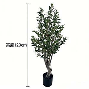 ต้นมะกอกเทียม พลาสติก เป็นมิตรกับสิ่งแวดล้อม ใบไม้เสมือนจริง ทนทาน น้ำหนักเบา รีไซเคิลได้ ใช้ได้ทั้งภายในและภายนอกอาคาร - Product Image 2