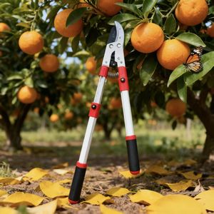 Ciseaux en acier au carbone puissants à long manche personnalisables, conception <span class=keywords><strong>de</strong></span> sécurité, multifonctionnels, pour l'élagage des branches épaisses, outils <span class=keywords><strong>de</strong></span> jardinage, <span class=keywords><strong>verger</strong></span> - Product Image 2