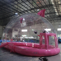 Tente bulle transparente gonflable en PVC Wanyun en forme de chat, dôme pour camping extérieur, installation facile, vente en gros 1-50