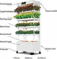 Système de culture hydroponique familial intelligent pour l'intérieur, armoire de culture hydroponique avec éclairage LED pour laitue/micro-légumes, facile à gérer